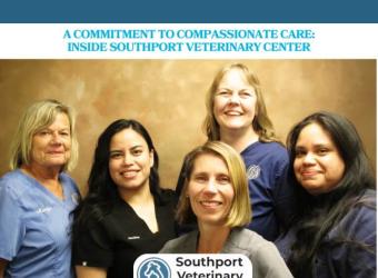 A Commitment to Compassionate Care: Inside Southport Veterinary Center