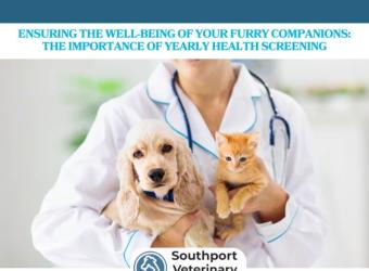 Ensuring The Well-Being Of Your Furry Companions: The Importance Of Yearly Health Screening