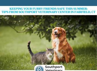 Keeping Your Furry Friends Safe This Summer: Tips from Southport Veterinary Center in Fairfield, CT